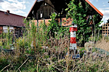 Beschreibung bild